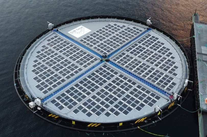 Inseanergy's floating energy hub (Image: Inseanergy)